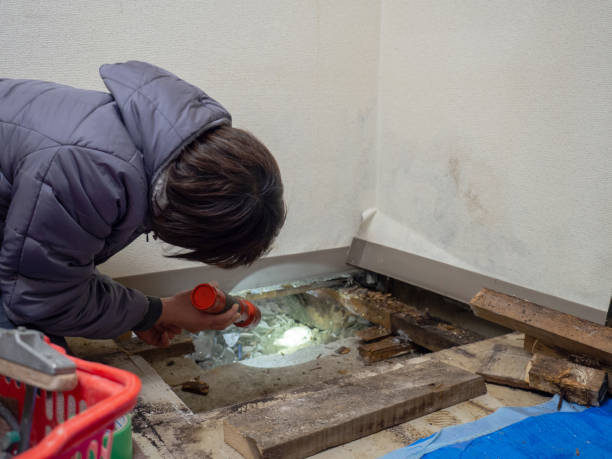 Best Commercial Mold Inspection  in Smoke Rise, AL