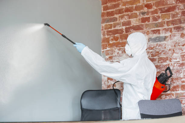 Environmental Consulting for Mold Prevention in Smoke Rise, AL