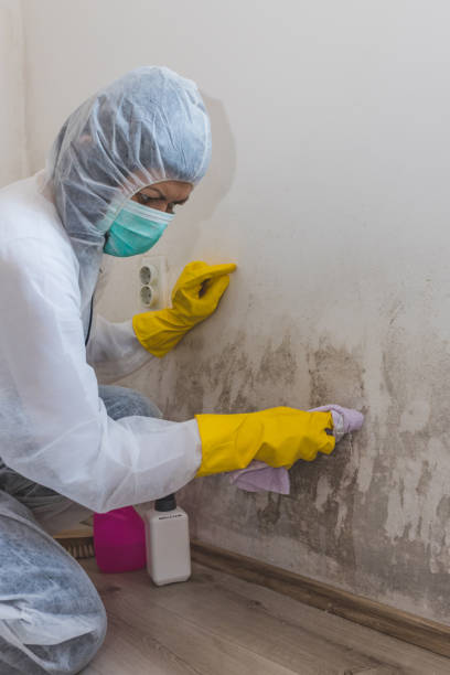Best Mold-Related Health Consultation  in Smoke Rise, AL