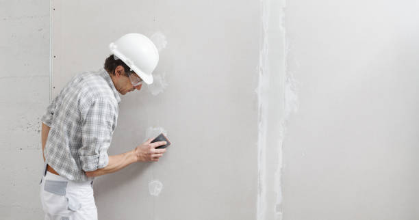 Reliable Smoke Rise, AL Mold Removal Solutions